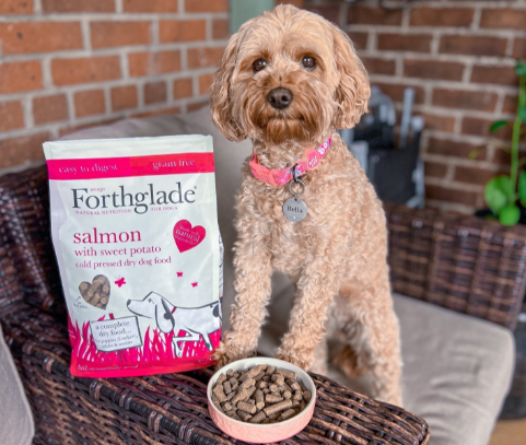 Forthglade dog food discount code