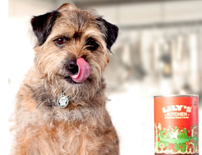 Free Lilys Dog & Cat food samples