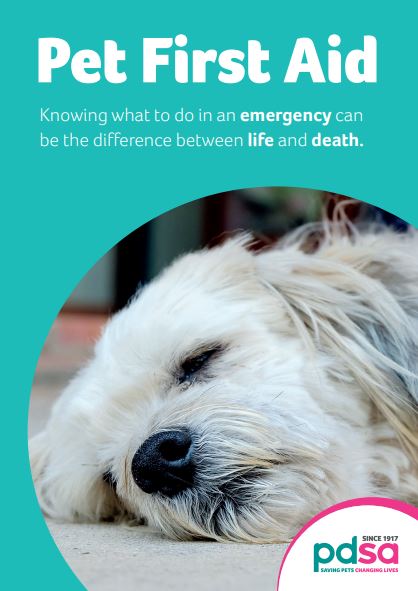 Free PDSA First Aid Guide