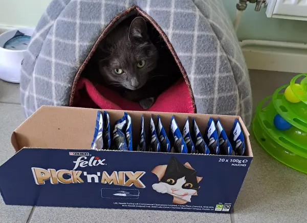 Purina Felix, PRO PLAN cat food treats discount vouchers