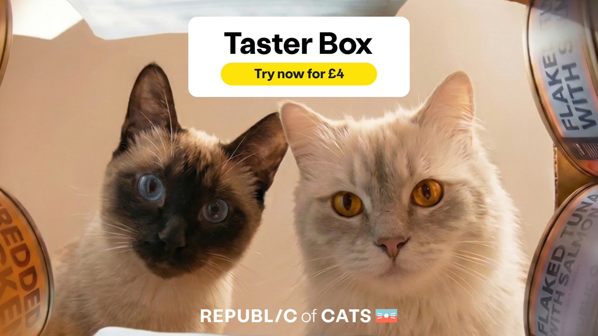 Republic of cats taster box discount code