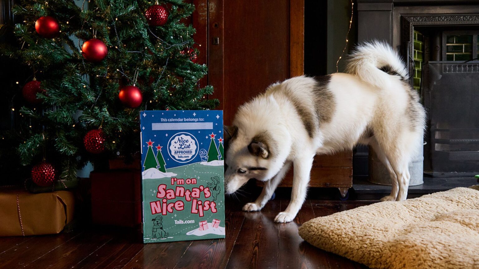 Christmas Dog Advent Calendar