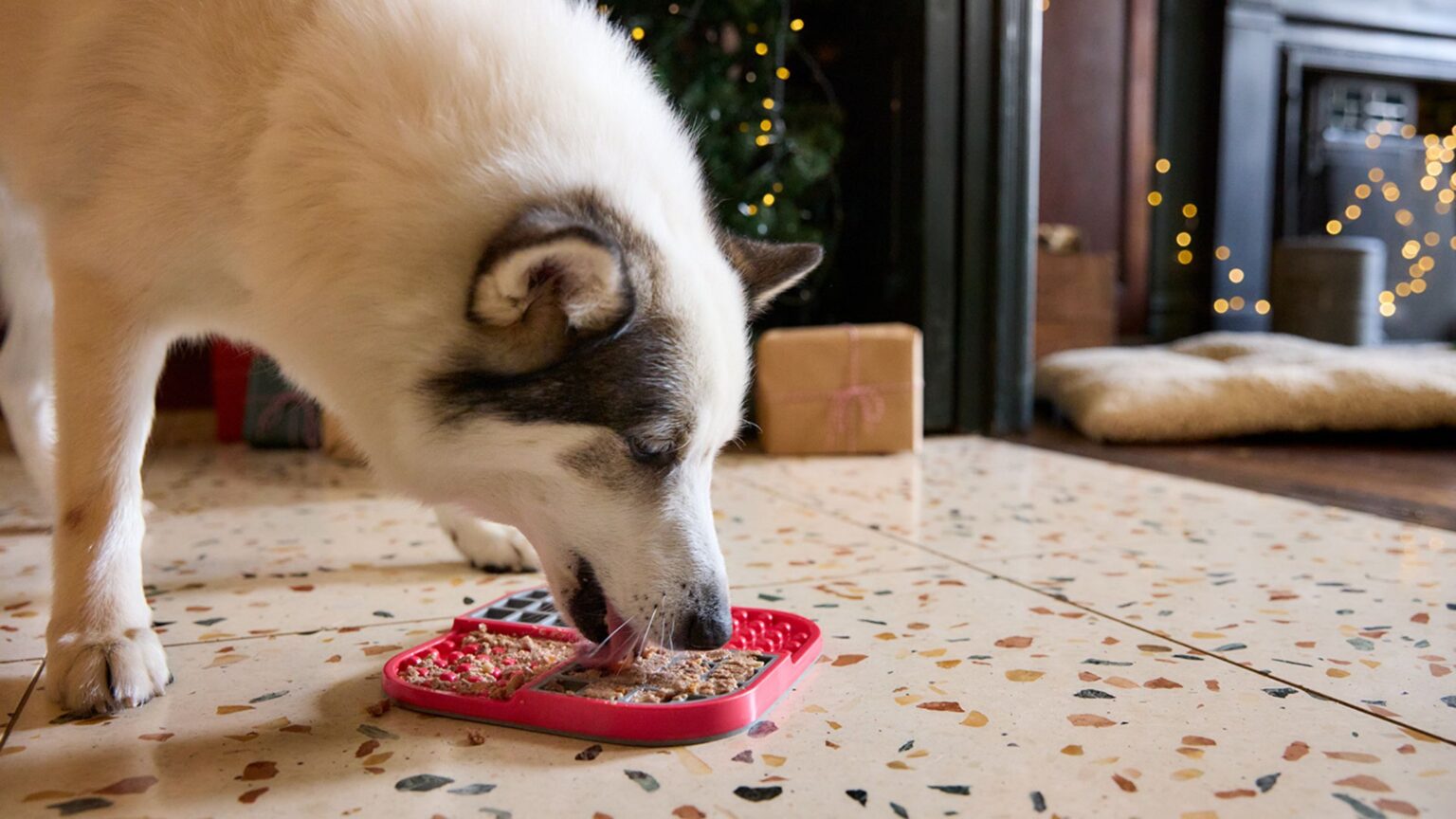 Tails dog food lickiMat 