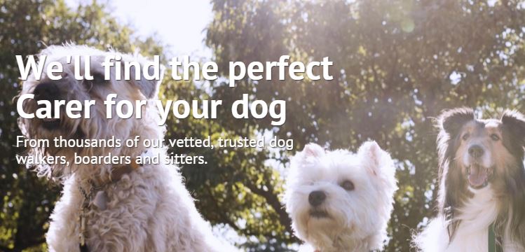 Tailster free pet sitting service