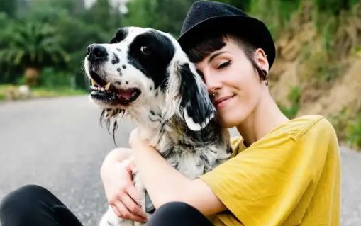 Waggel Free Pet Insurance